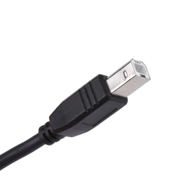 Cable Charign Usb 2,0 de alta calidad para impresora Usb A macho a conector macho B